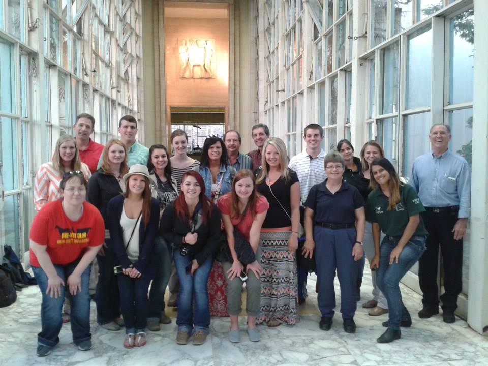 Estagiários da Equine Center (outubro 2015)