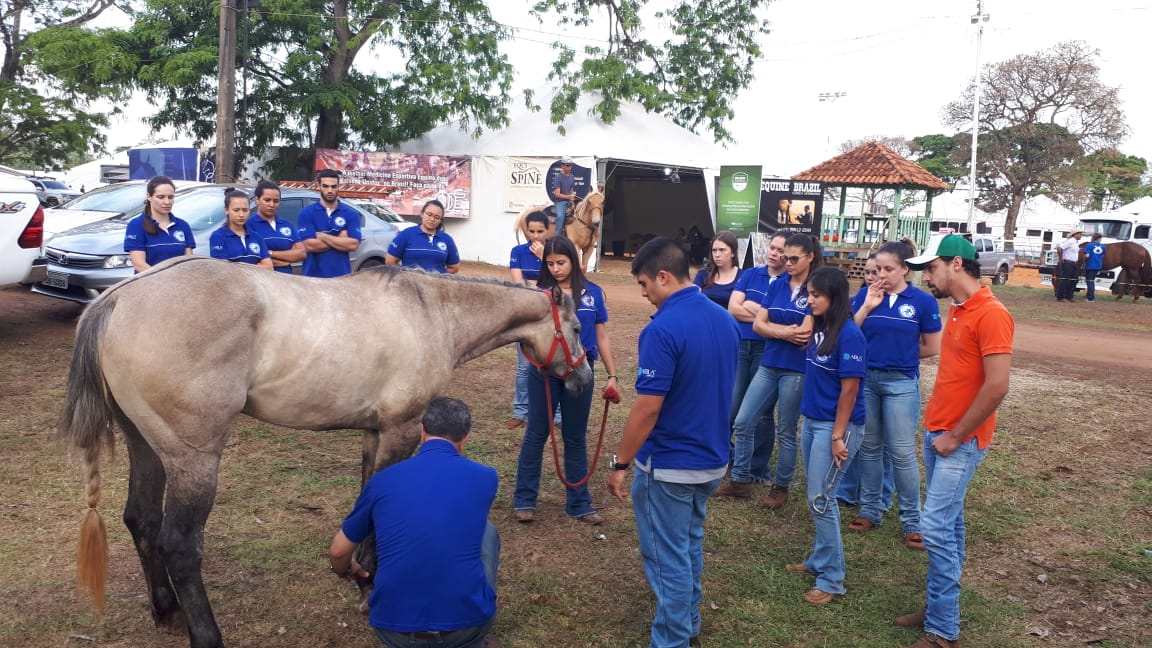 WhatsApp Image 2019-10-13 at 10.13.14(1).jpeg