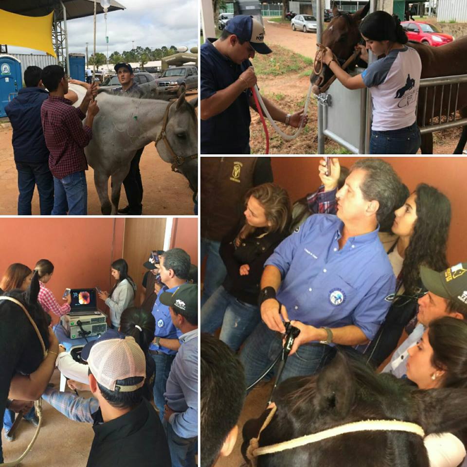 Congresso Brasileiro Conformação e Trabalho 2017